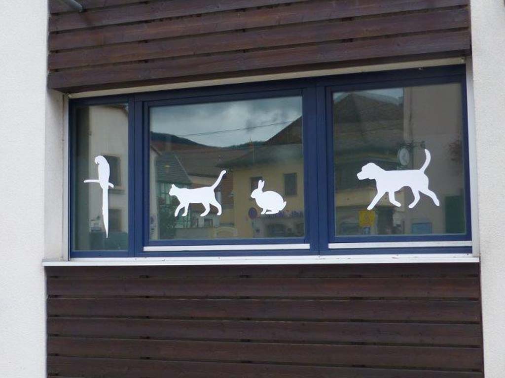 Veterinary care area inside the clinic